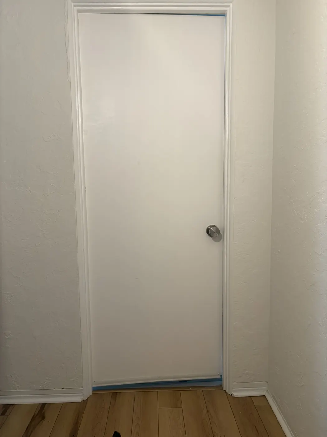 Original flat interior door before replacement